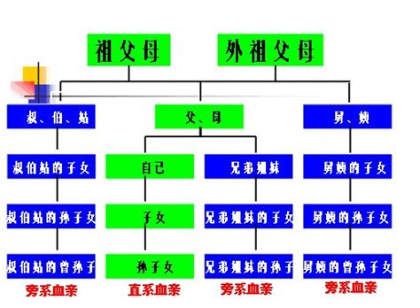 外孫算直系嗎|高中社會科